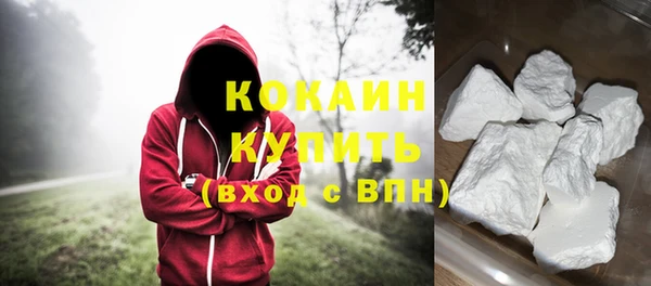 стаф Новозыбков