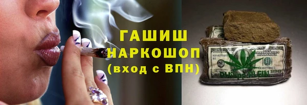 стаф Новозыбков