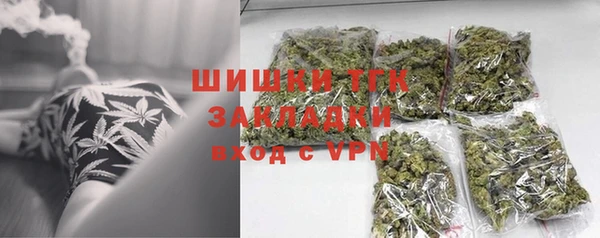 стаф Новозыбков