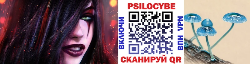 Псилоцибиновые грибы MAGIC MUSHROOMS  hydra рабочий сайт  Сорочинск 