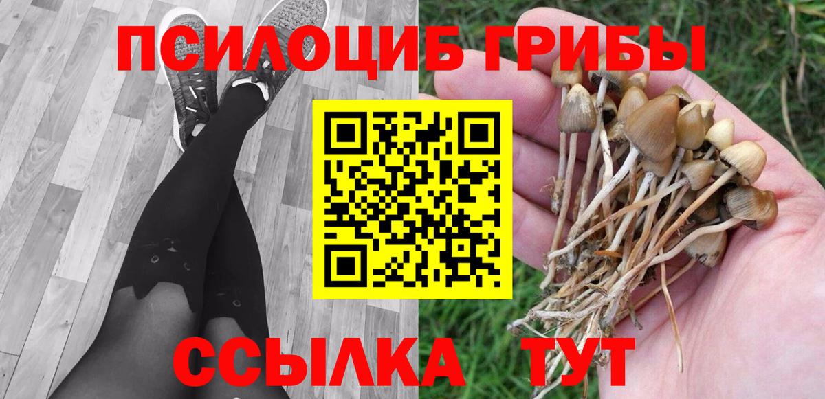 Псилоцибиновые грибы мицелий  Галлюциногенные грибы прущие грибы  Вход с VPN  Сорочинск 